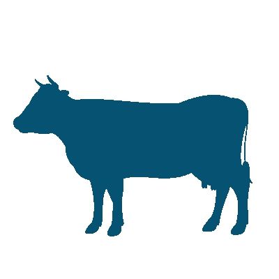 Etuselkä-lapa